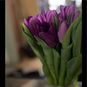 Meet your Posher, Bodil